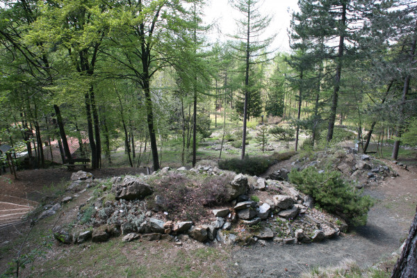 Giardino Botanico Alpino di Pietra Corva - ViviOltrepò