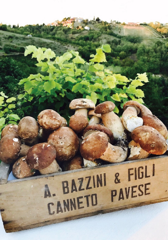 Ristorante Bazzini Funghi - Vivioltrepò