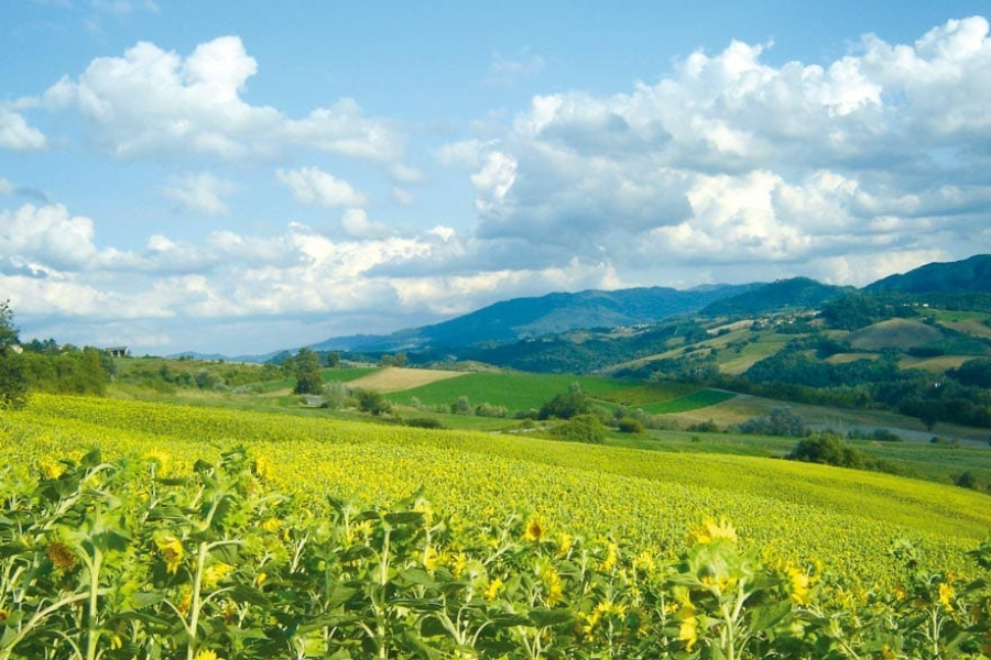 Borgo Di Fortunago Panorama Colline - Vivioltrepò