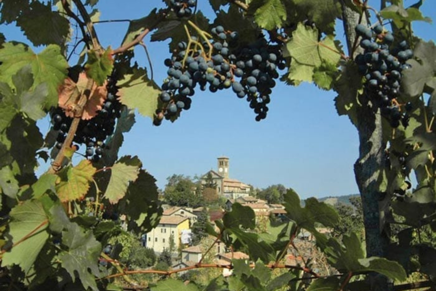 Borgo Di Fortunago Scorcio Panoramico - Vivioltrepò