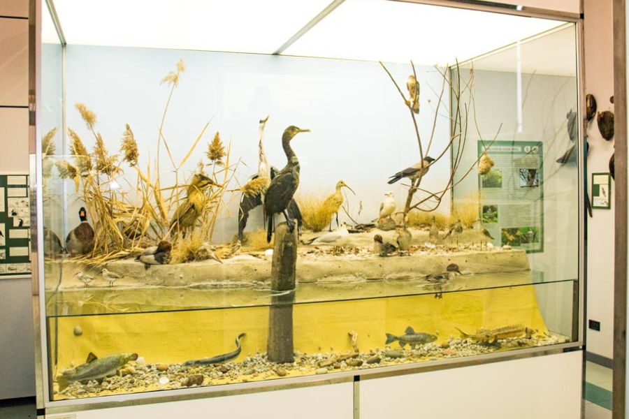Museo Naturalistico di Stradella - Oltrepo Pavese