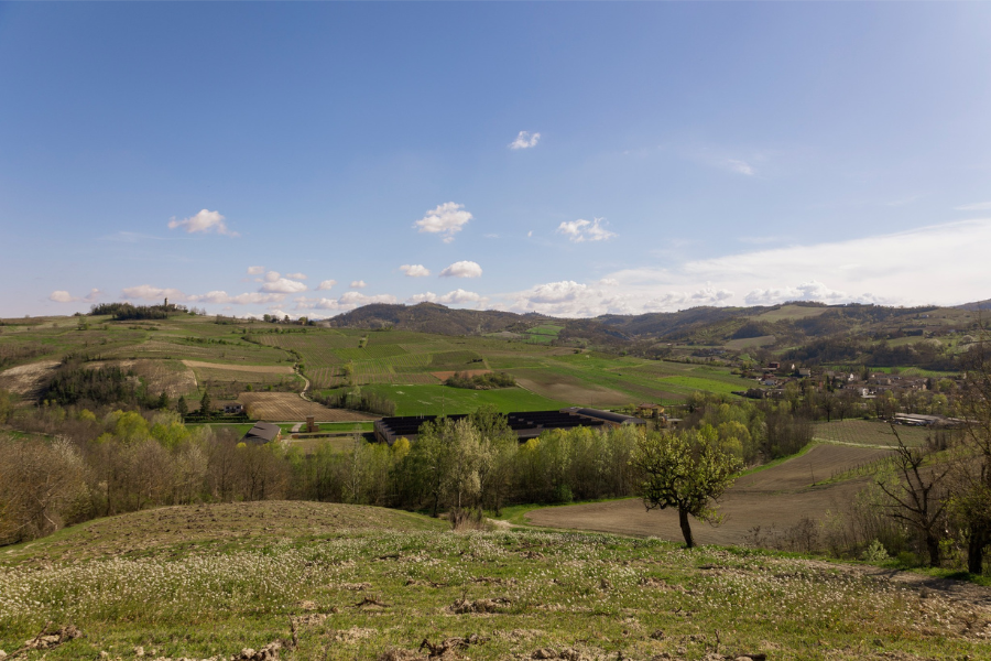 Borgo Priolo - Oltrepo Pavese