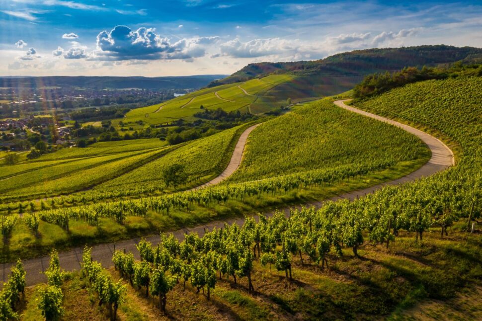 Oltrepò Pavese, Valle del Riesling, Montalto Pavese