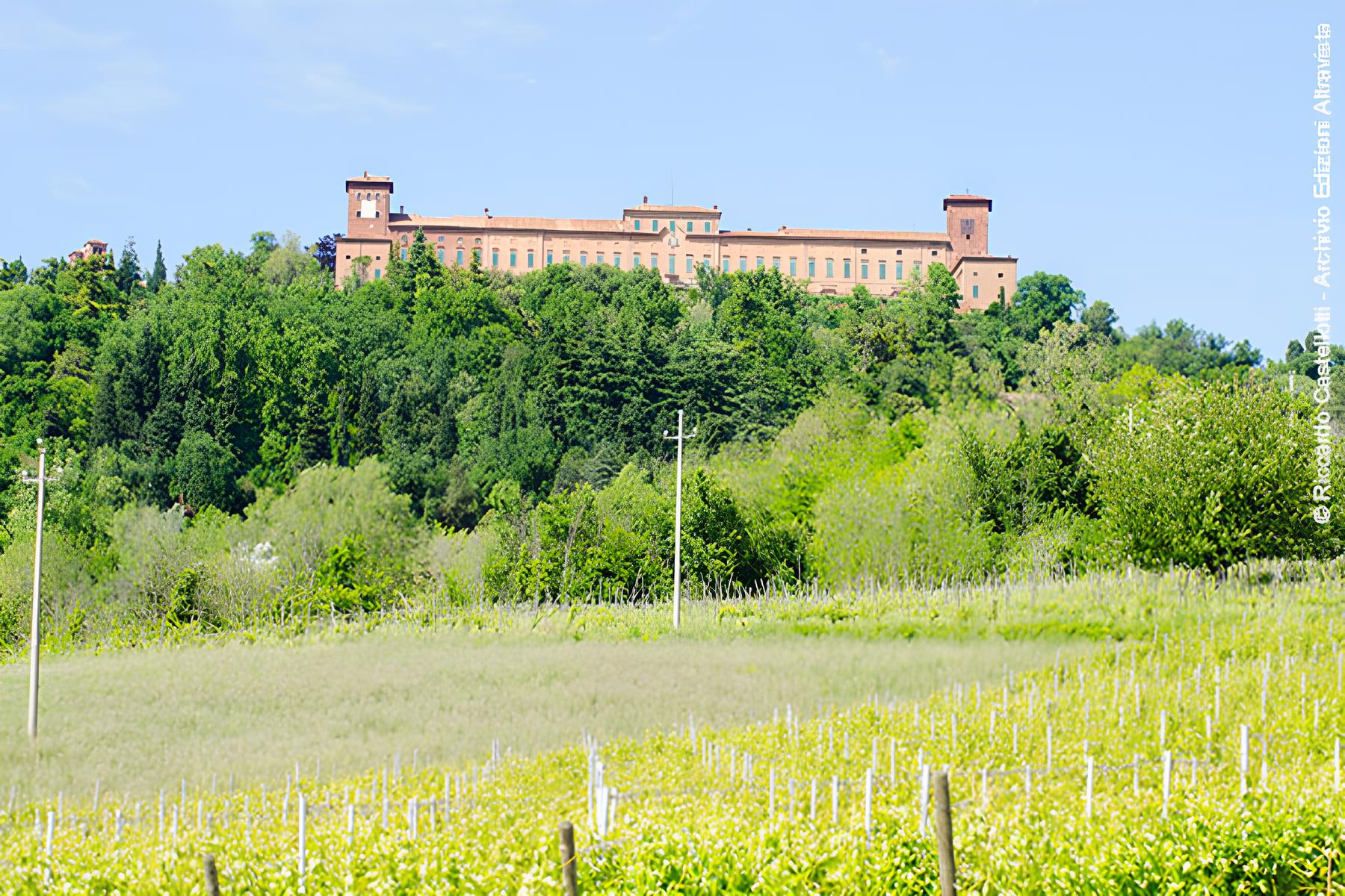 Castello Belcredi, Montalto Pavese 8PV)