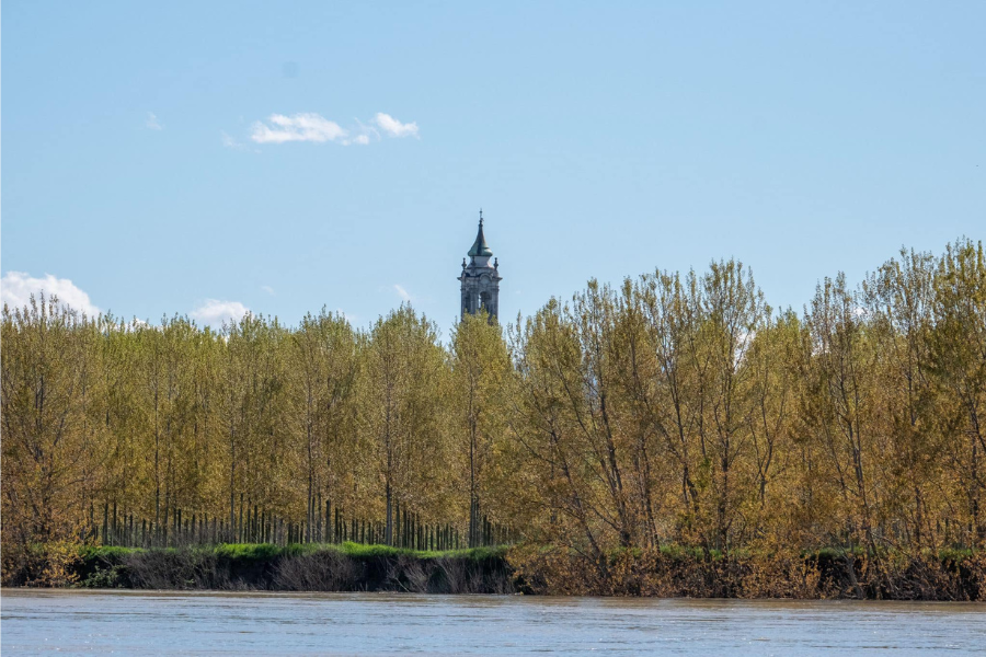 Comune di Portalbera - Campanile visto dal fiume Po