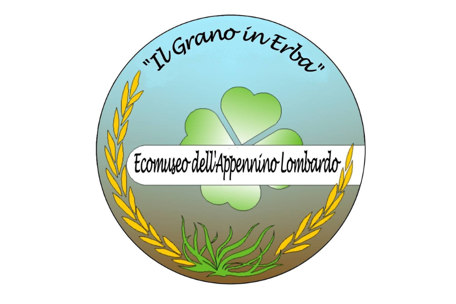 Ecomuseo Appennino Lombardo - Il grano in erba