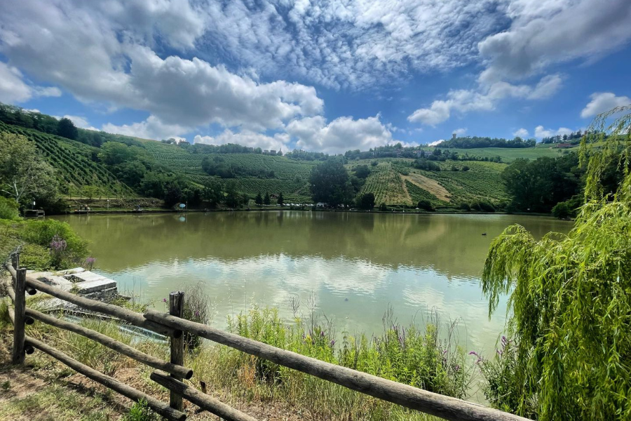 Lanca di Cigognola - Dove Pescare in Oltrepò Pavese