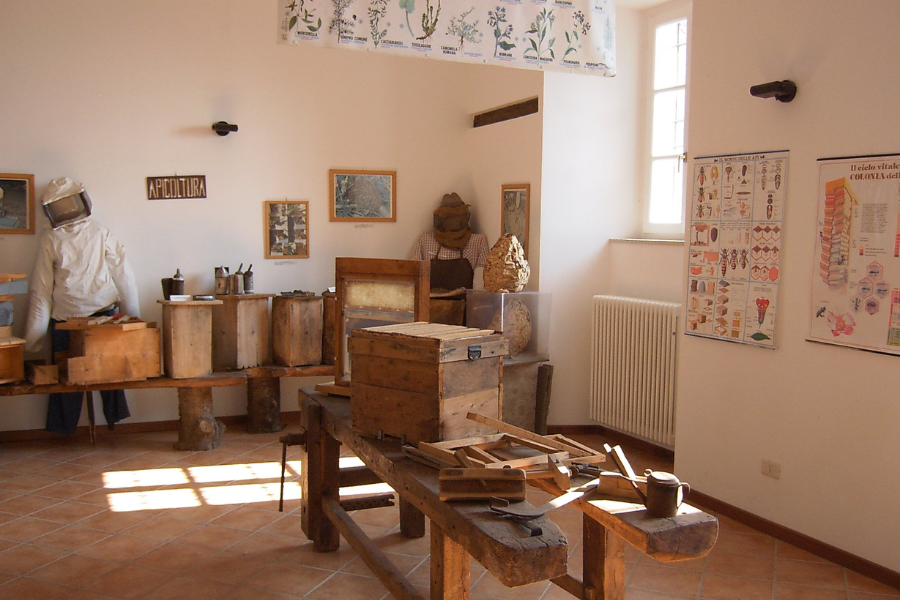 Museo delle Api di Montalto Pavese - Oltrepo Pavese