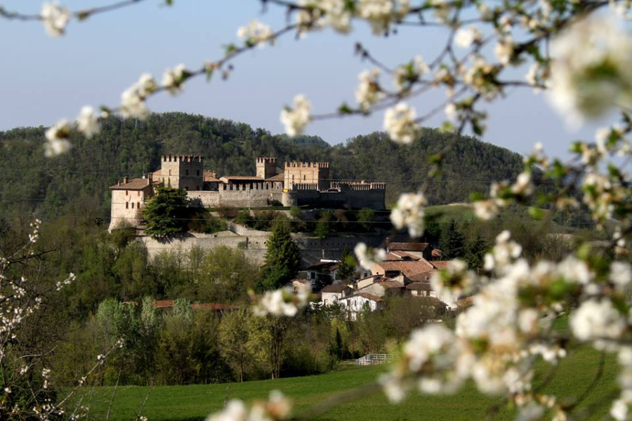 Museo di Arte Contemporanea nel Castello di Montesegale