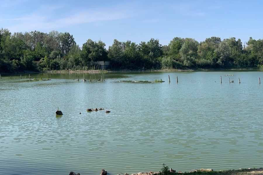 Parco Palustre di Lungavilla