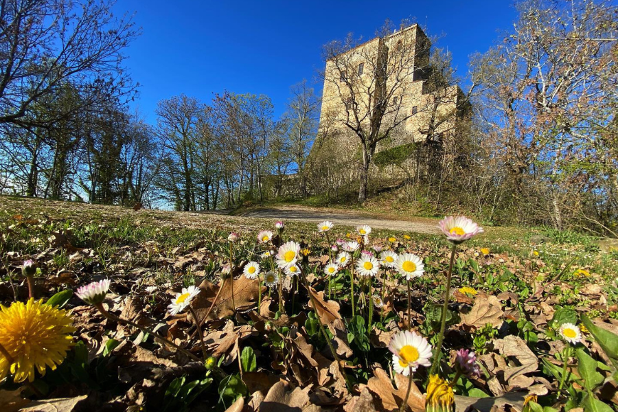 Parco del Castello Dal Verme di Zavattarello