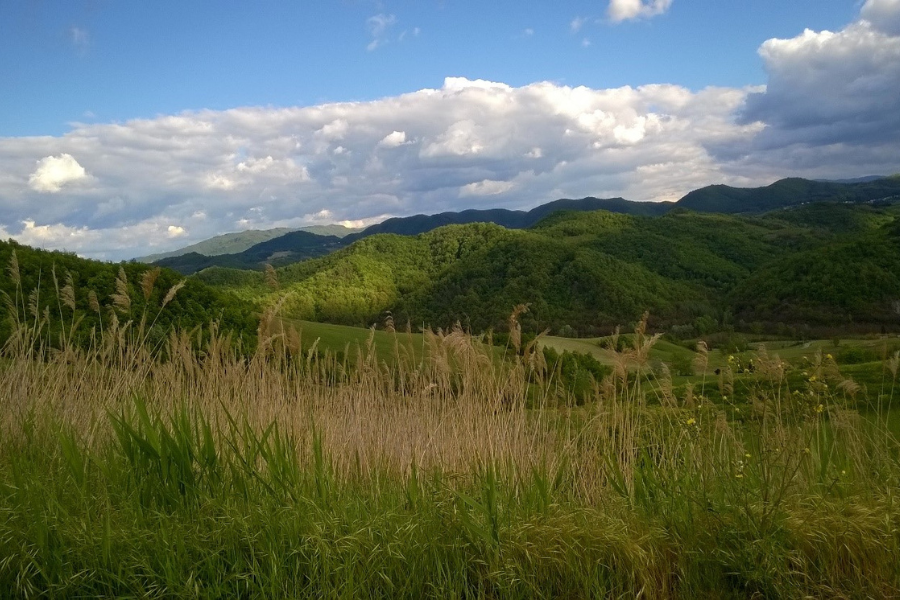 Parco di Fortunago - Oltrepo Pavese