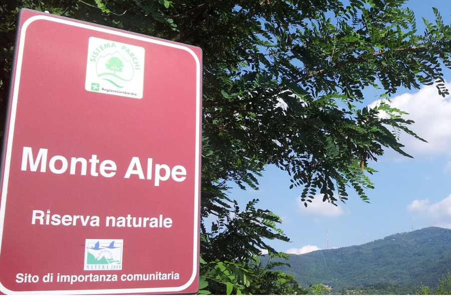 Riserva Naturale del Monte Alpe - Menconico