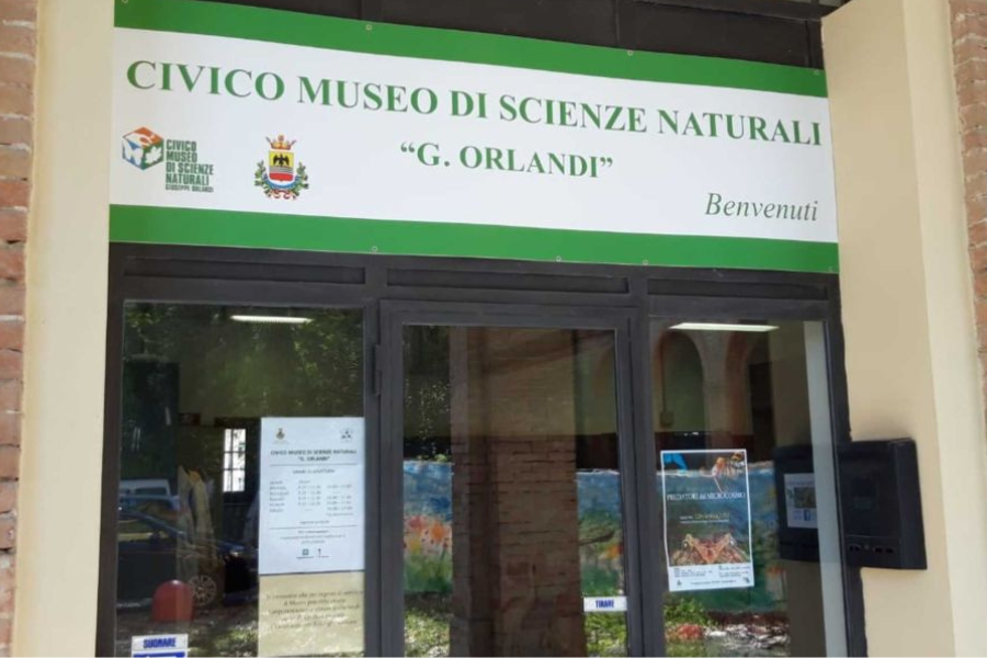 civico Museo di Scienze Naturali di Voghera
