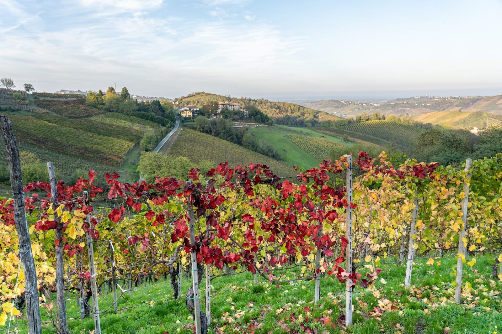 Vigneti Oltrepò Pavese