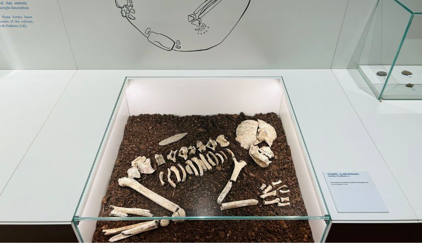 Visita notturna al Museo di Casteggio - Oltrepò Pavese