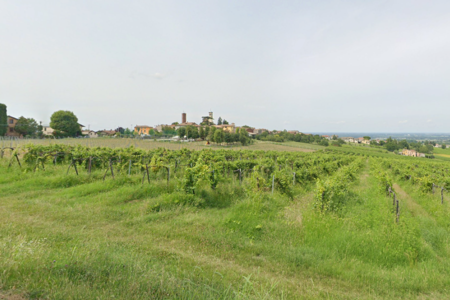 Comune di Zenevredo - Oltrepò Pavese