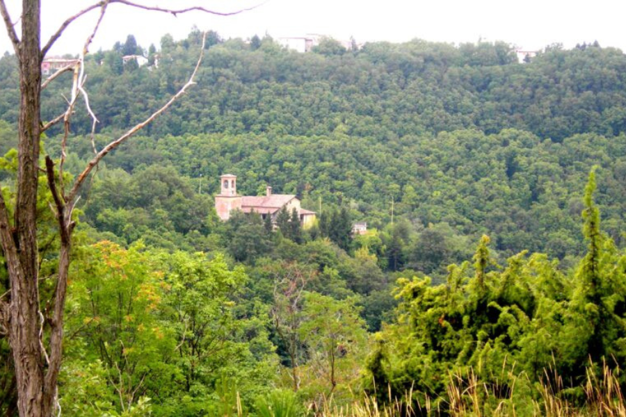 Veduta Eremo SantAlberto di Butrio