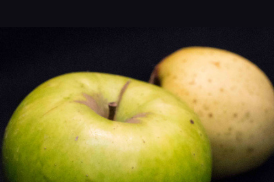 Pomella della Valle Staffora - Oltrepò Pavese