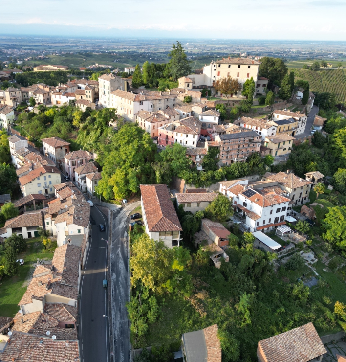 organizza scopri loltrepo