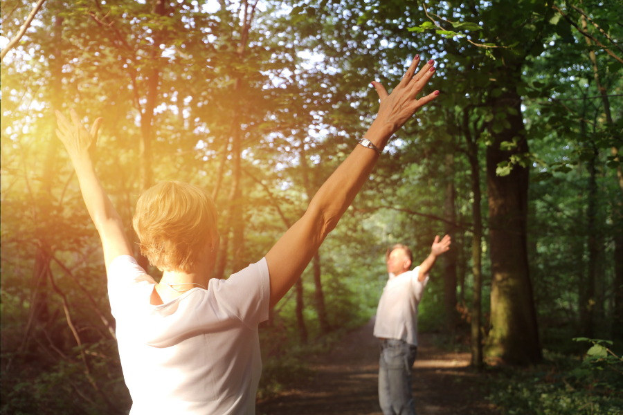 Forest Bathing in Oltrepo Pavese