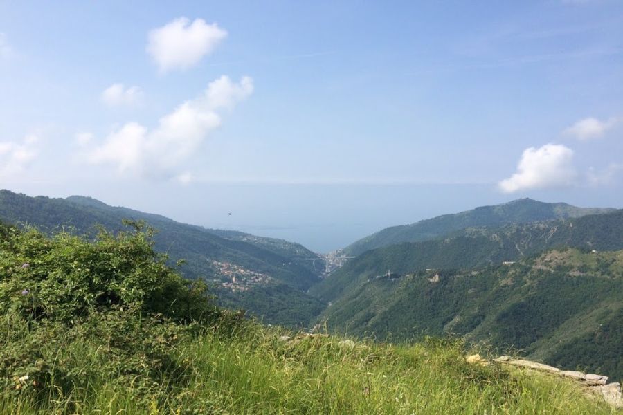 Via del Sale . Vista mare