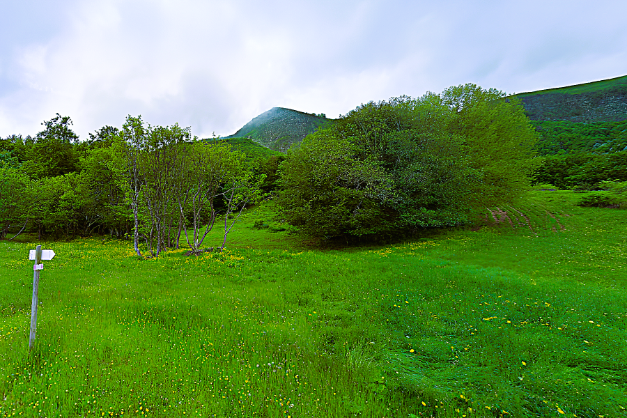 sentieri Monte Lesima