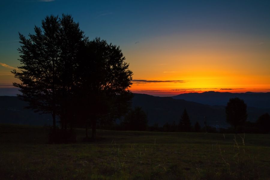 piani di lesima