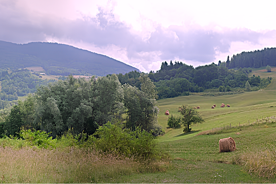 Località Roncassi, Menconico (PV)
